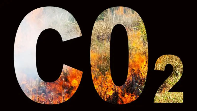La escasez de CO₂: el gas que nos da la vida… y nos la quita