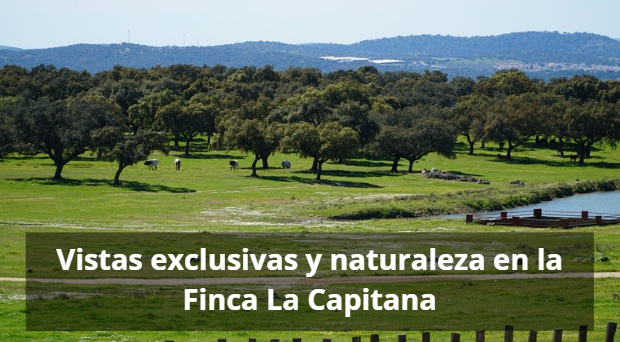 Vistas exclusivas y naturaleza en la Finca La Capitana